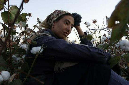 在逆境中坚韧生存